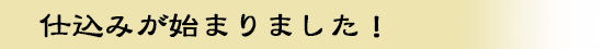 仕込みが始まりました！