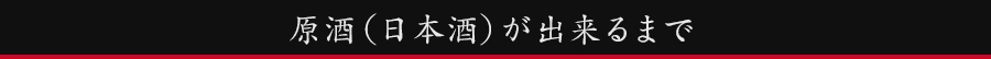原酒（日本酒）ができるまで